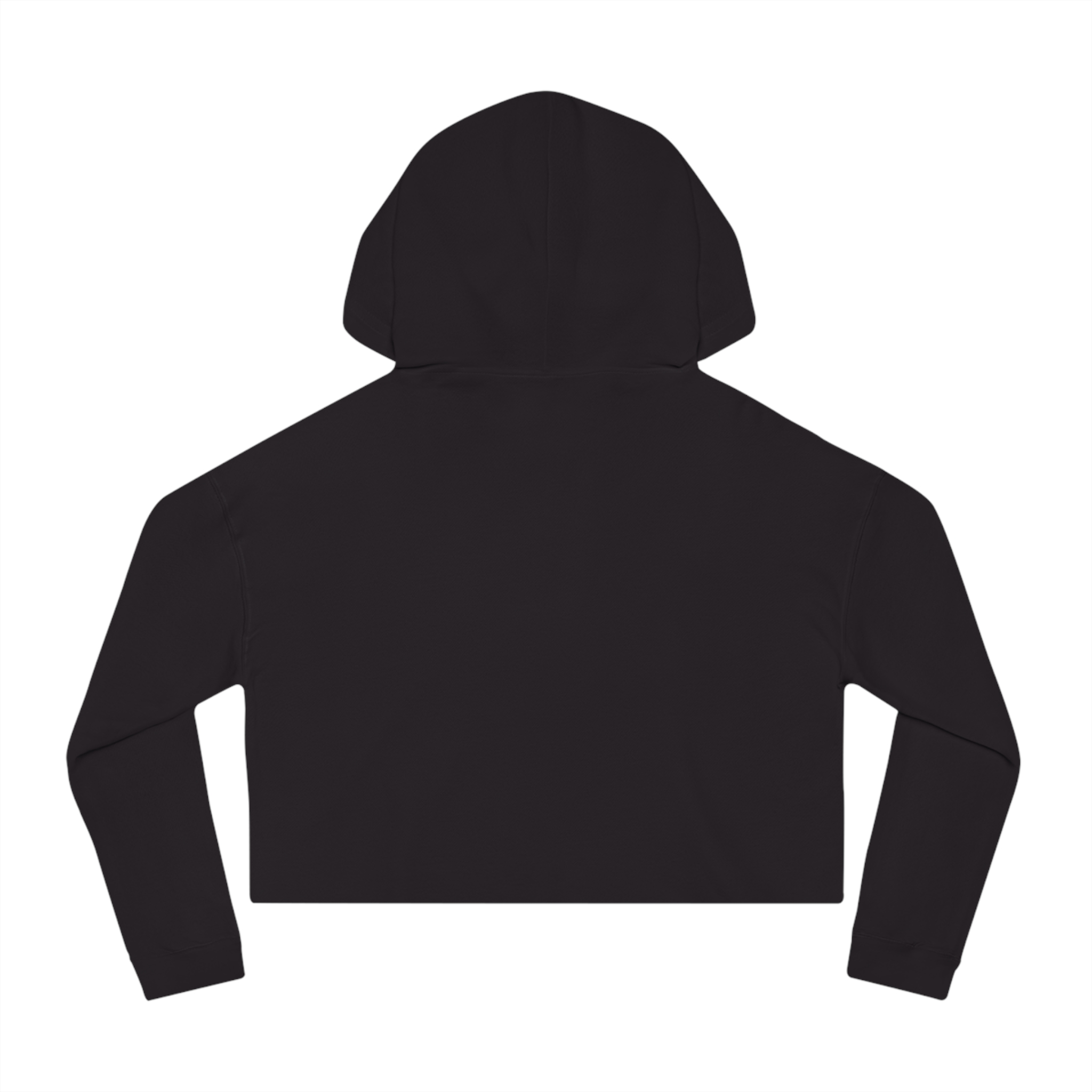 Cropped Sweatshirt, Wing Leaders High Gods and Fae Princes Sweatshirt - Image 23